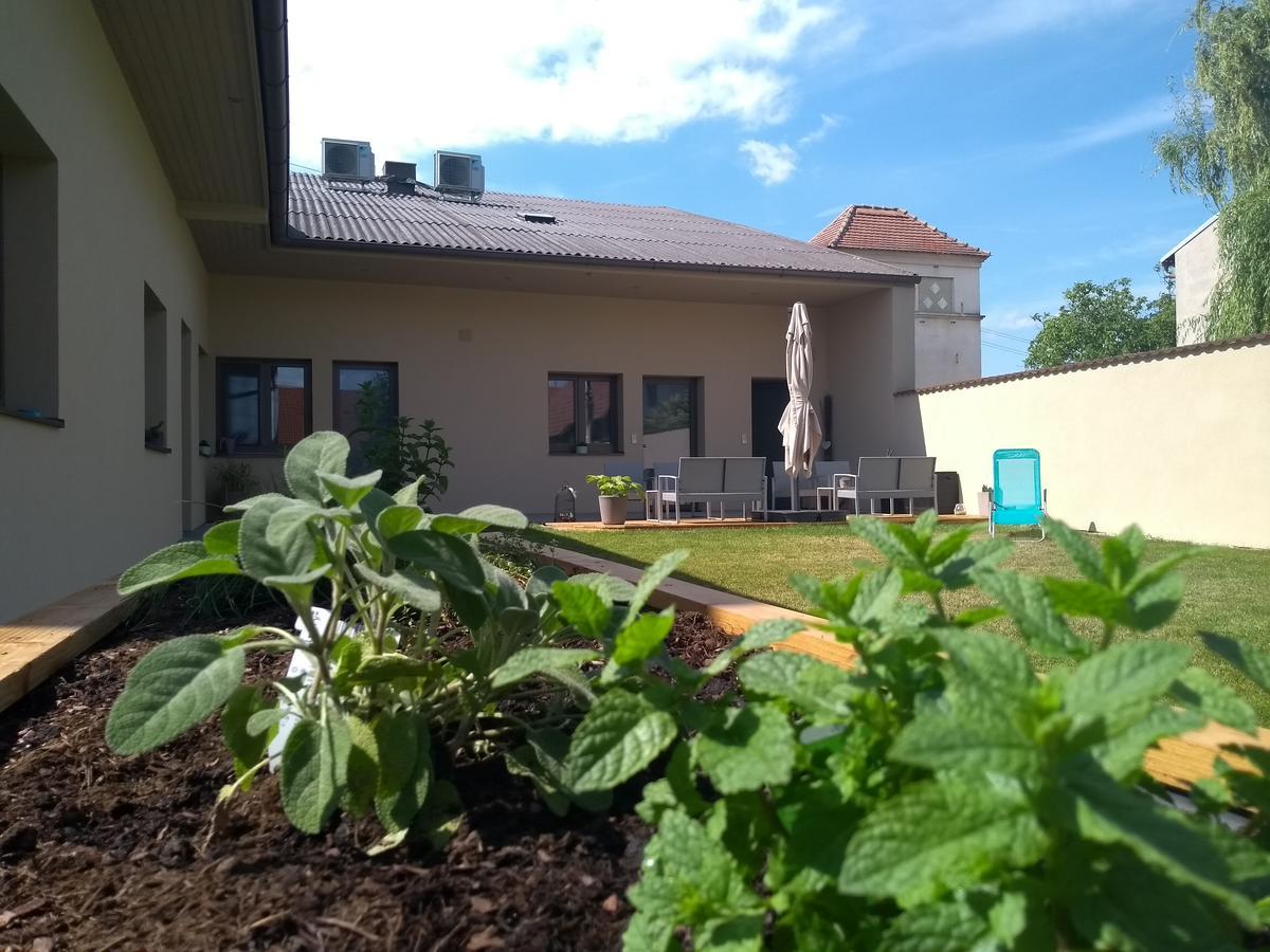 Sabines Apartments Ferienwohnungen Frauenkirchen Exterior foto
